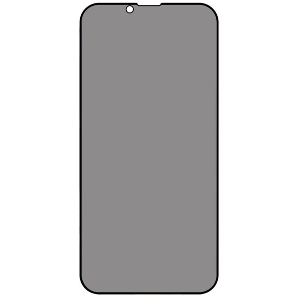(iPhone 14 Series) 9H Tempered 2.5D Privacy Antibacterial Screen Protector - 图片 6